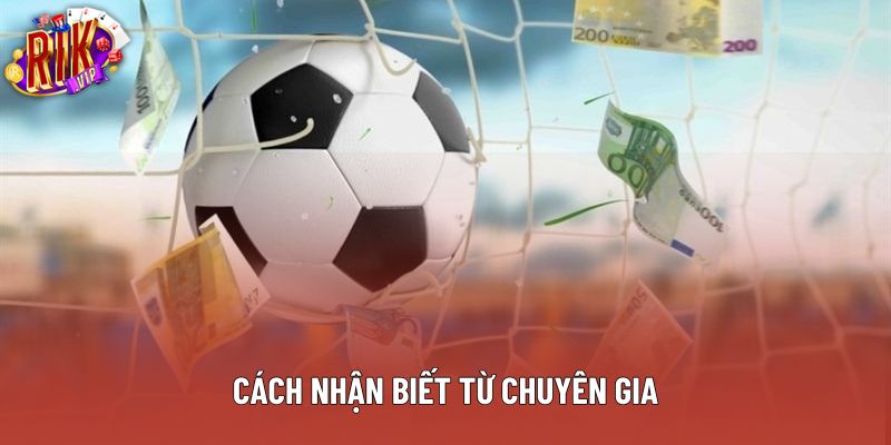Cách nhận biết từ chuyên gia
