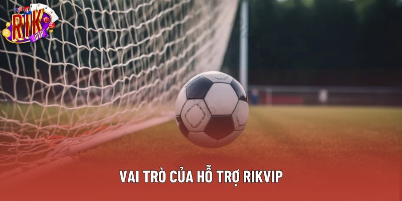 Vai trò của hệ thống hỗ trợ Rikvip là rất quan trọng Vai trò của hệ thống hỗ trợ Rikvip là rất quan trọng